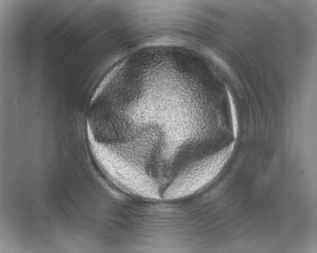 X0000068721329200605121442