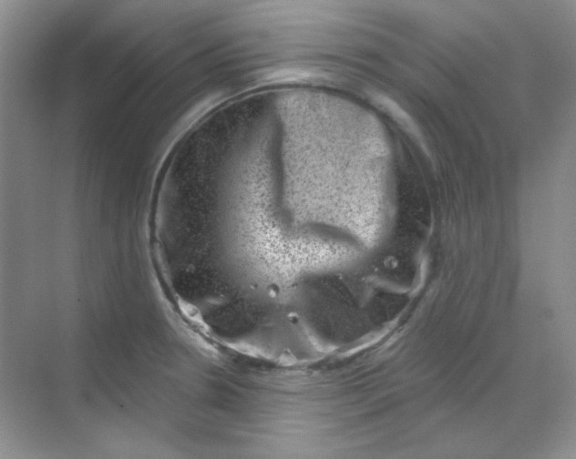 X0000068721330200605121442