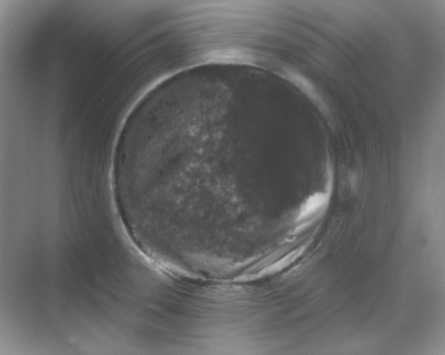 X0000068721331200605121442