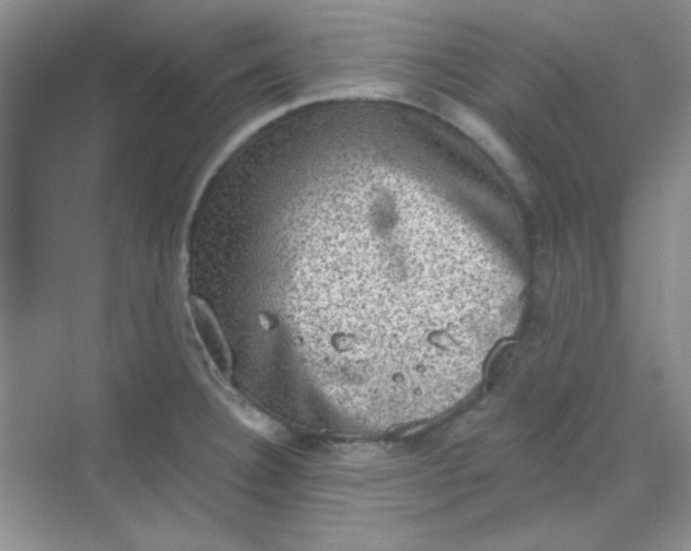 X0000068721332200605121442