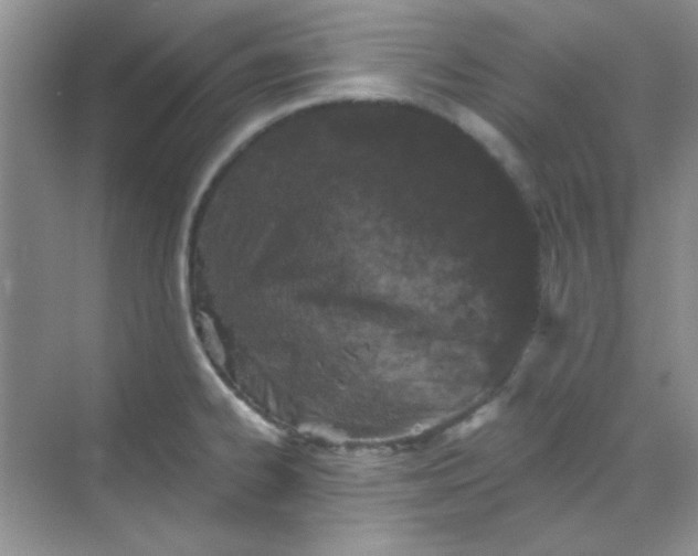 X0000068721334200605121442