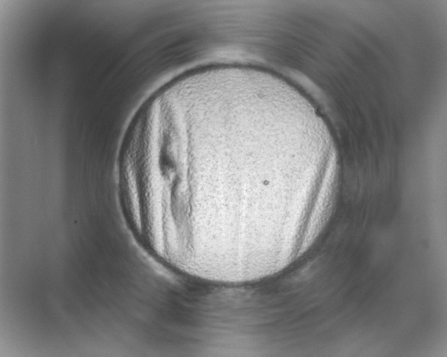 X0000068721335200605121442