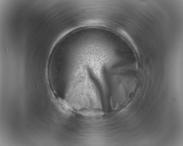 X0000068721336200605121442