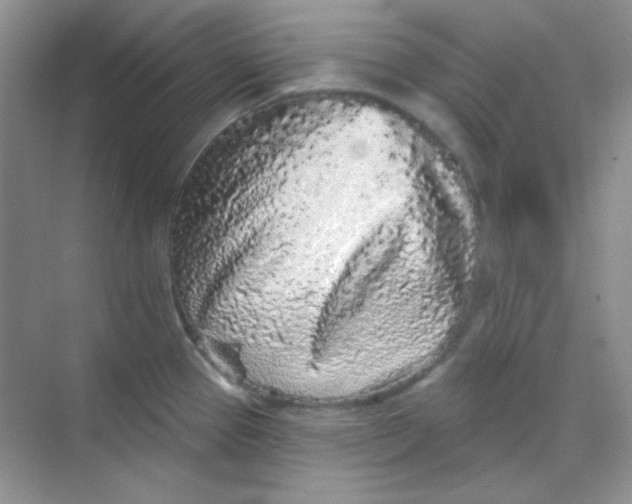 X0000068721337200605121442