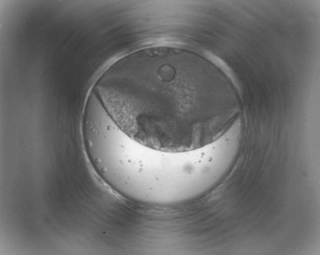 X0000068721338200605121442