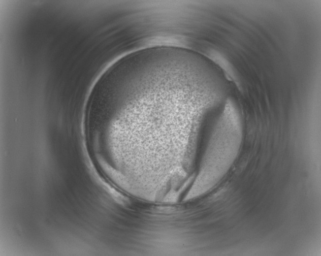 X0000068721339200605121442