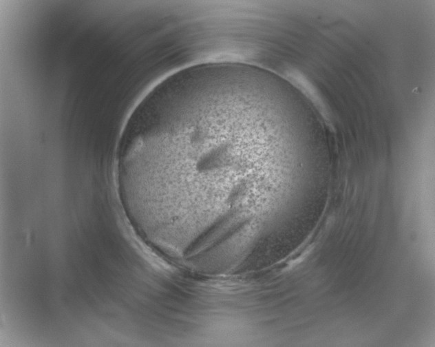 X0000068721340200605121442