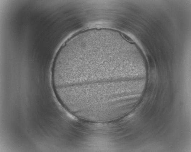 X0000068721341200605121442