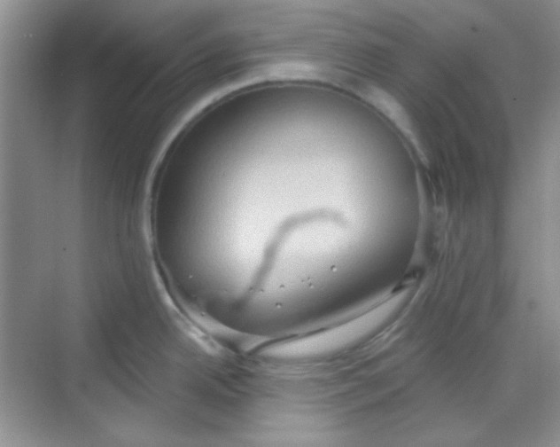 X0000068721342200605121442