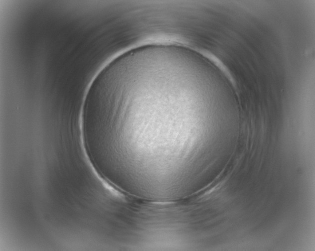 X0000068721343200605121442