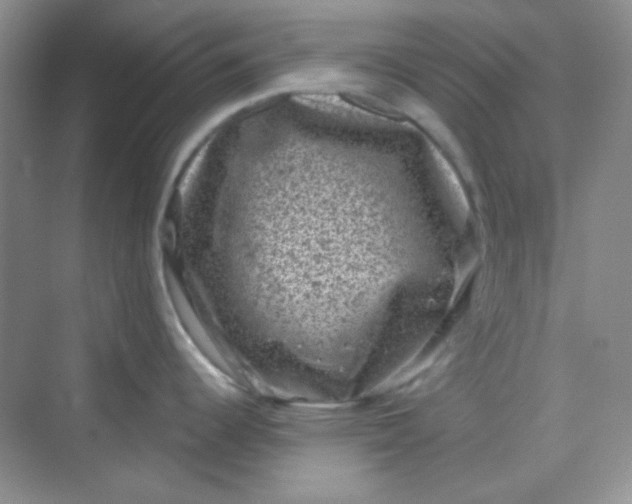 X0000068721344200605121442