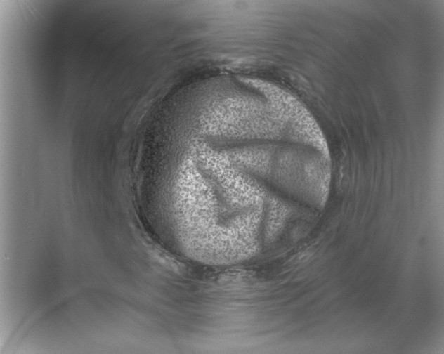 X0000068721345200605121441