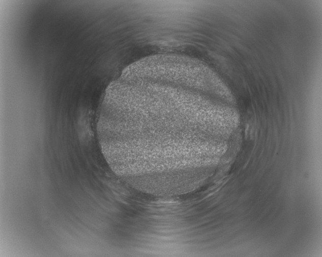 X0000068721346200605121441