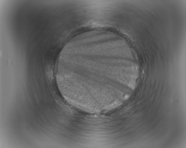 X0000068721348200605121441