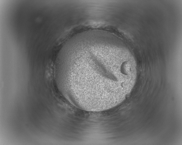 X0000068721349200605121441