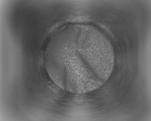 X0000068721350200605121441