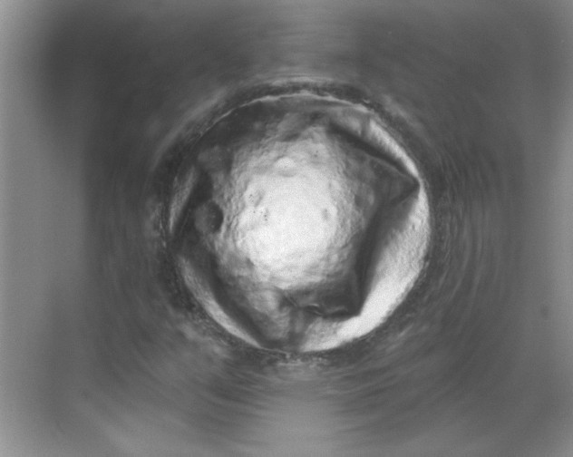 X0000068721351200605121441