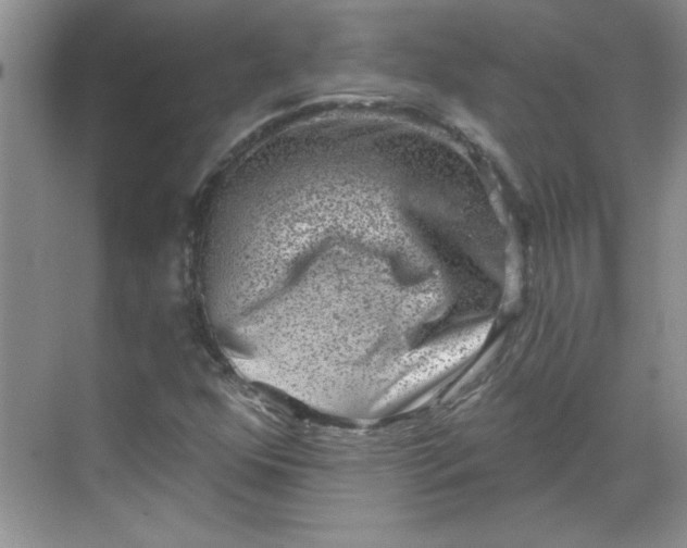 X0000068721352200605121441