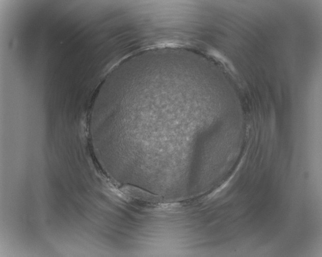 X0000068721353200605121441