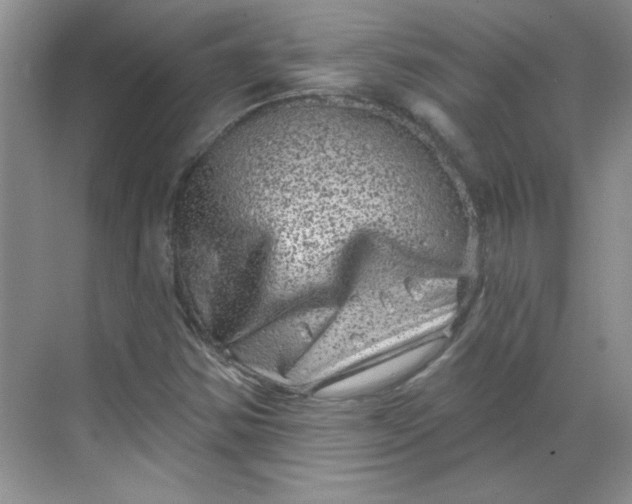 X0000068721354200605121441