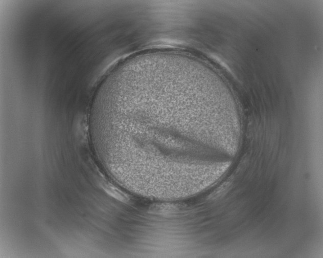 X0000068721355200605121441