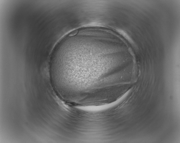 X0000068721356200605121441