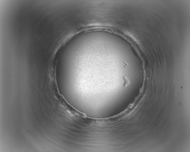 X0000068721357200605121441