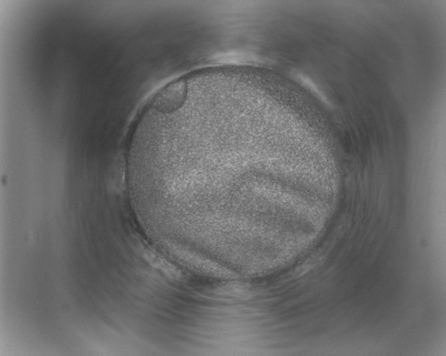 X0000068721358200605121441