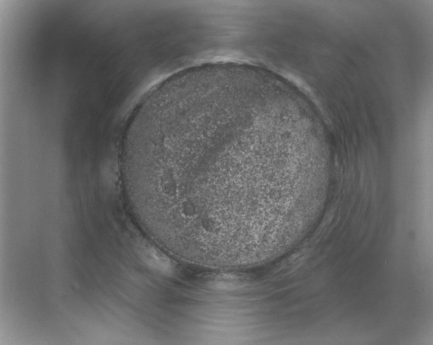 X0000068721359200605121441