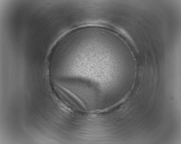 X0000068721360200605121441