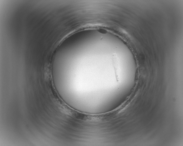 X0000068721361200605121441