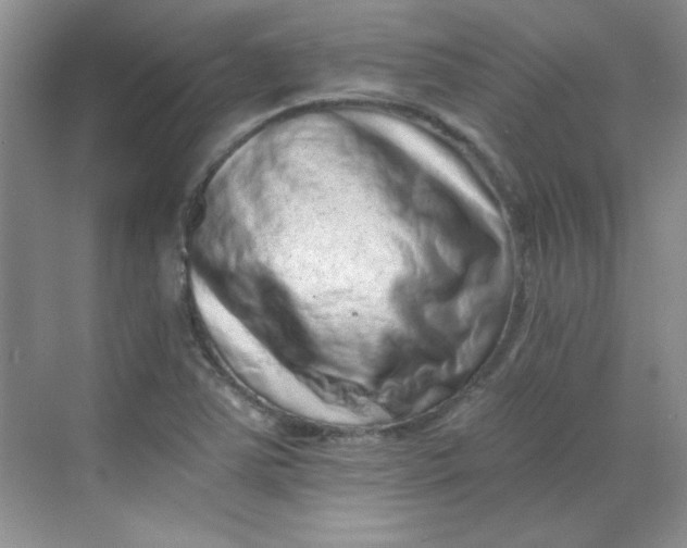 X0000068721363200605121441