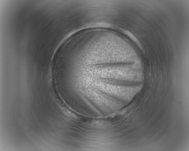 X0000068721364200605121441