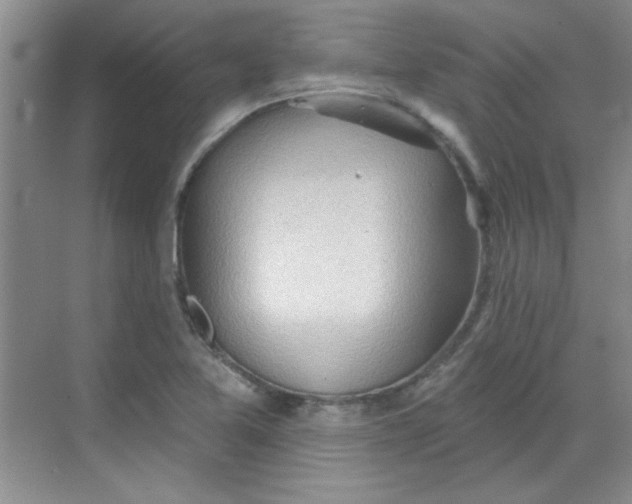 X0000068721365200605121441