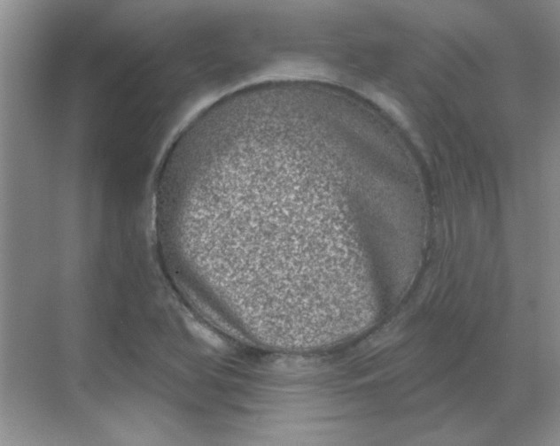 X0000068721366200605121441