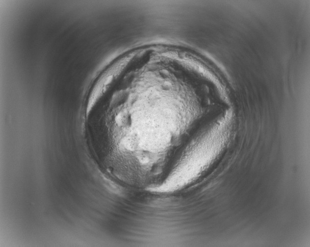 X0000068721367200605121441