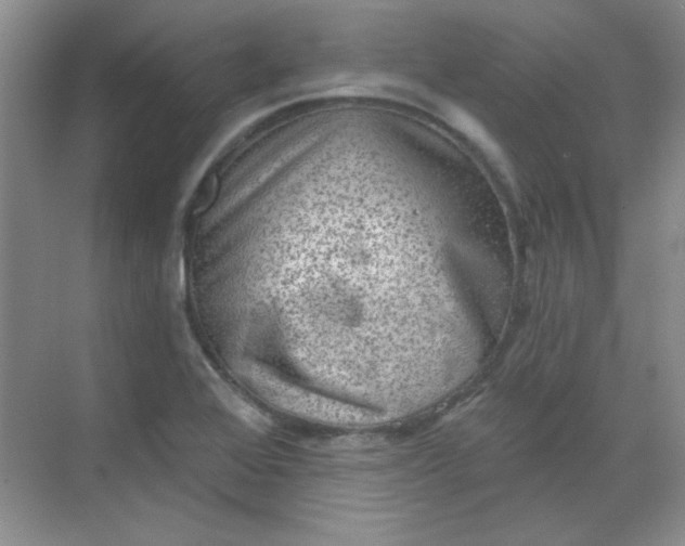 X0000068721368200605121441