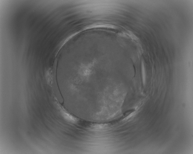 X0000068721369200605121441