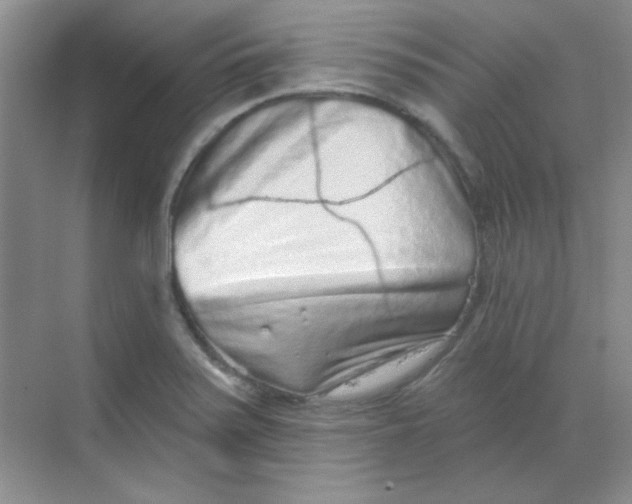 X0000068721371200605121441