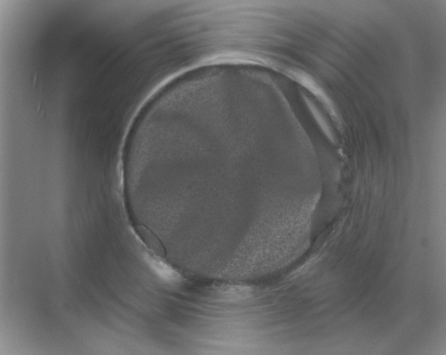 X0000068721372200605121441