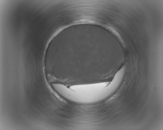 X0000068721373200605121441