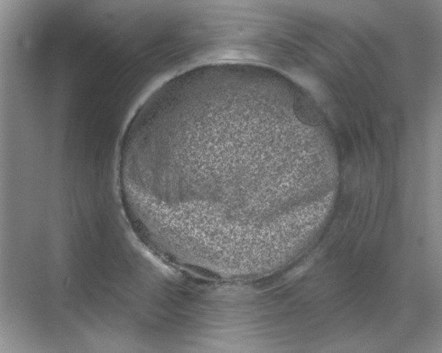 X0000068721374200605121441