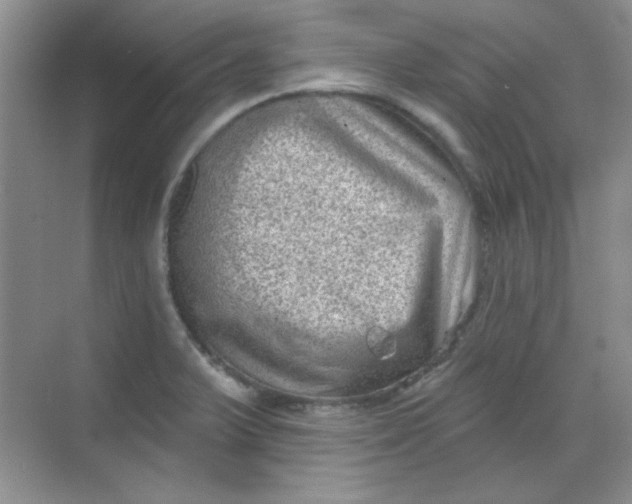 X0000068721375200605121441