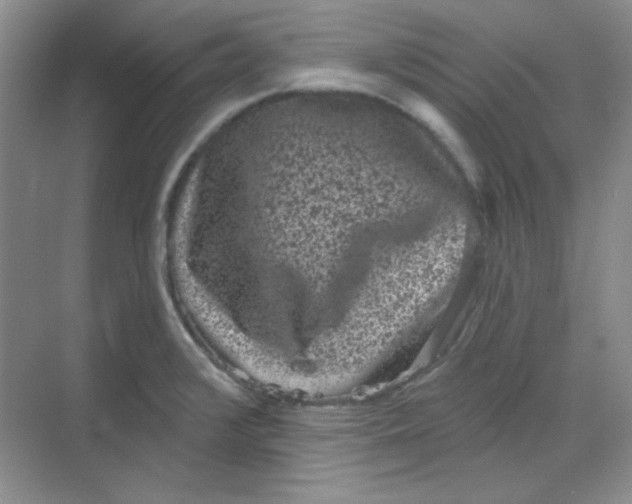 X0000068721376200605121441