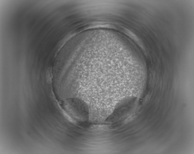 X0000068721377200605121441