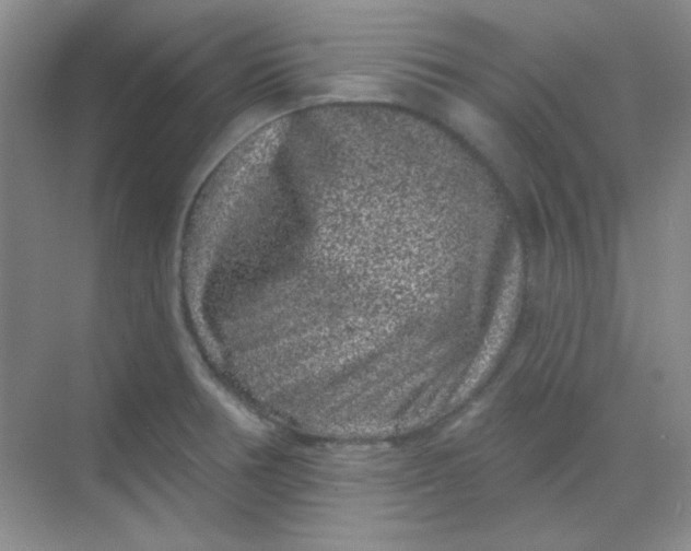 X0000068721378200605121441