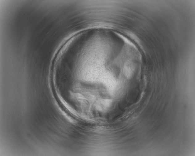 X0000068721379200605121441