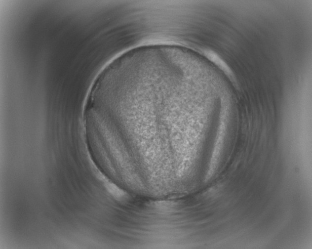 X0000068721380200605121441