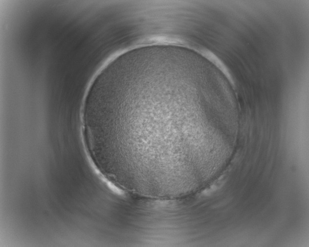 X0000068721381200605121441