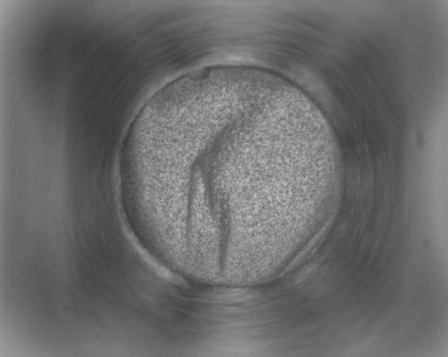 X0000068721382200605121441